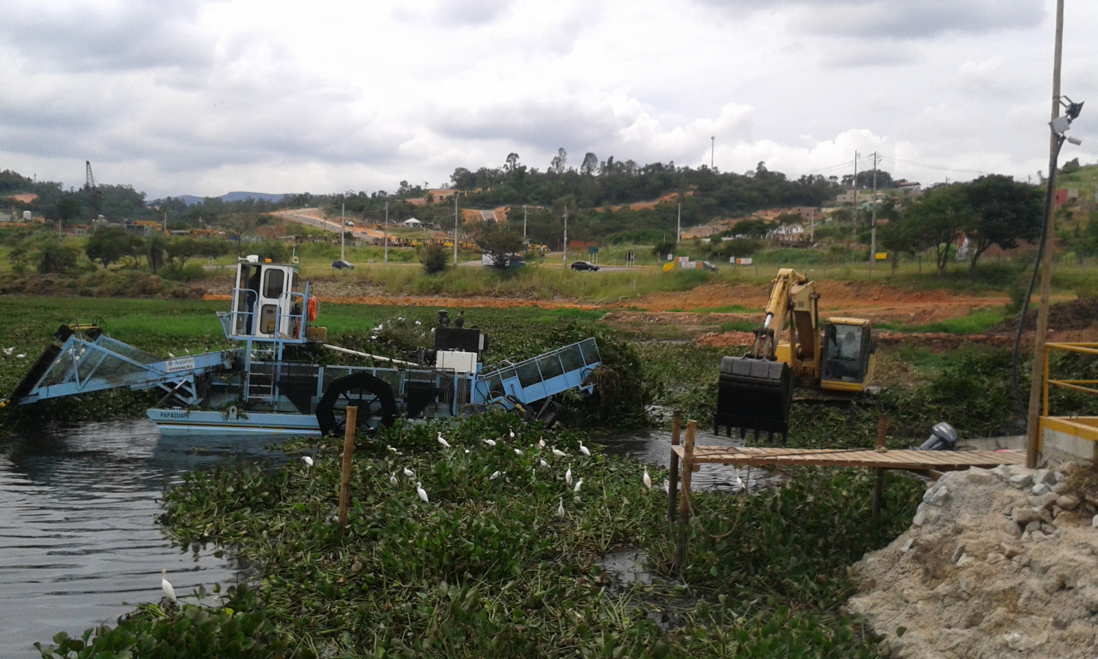 ÁREA AMBIENTAL