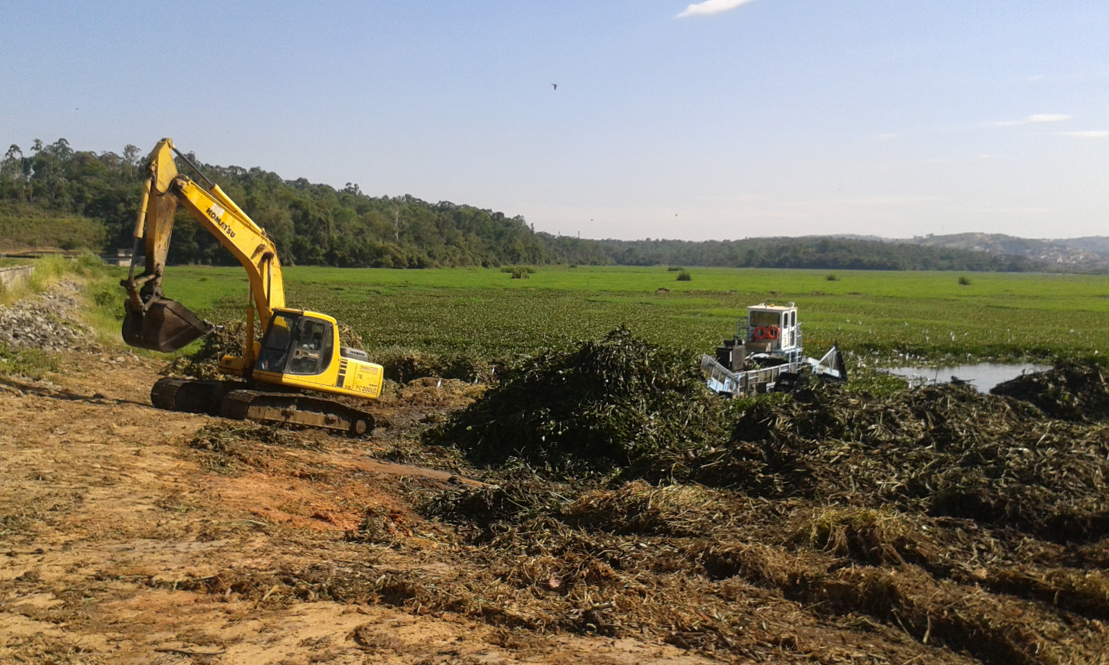 ÁREA AMBIENTAL